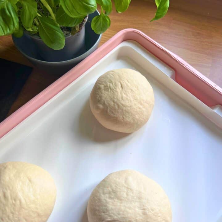 Pizza dough balled up on tray.