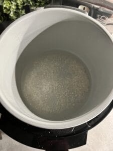 ninja foodi rice and water ready