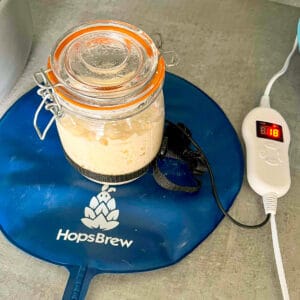 keep a sourdough starter warm