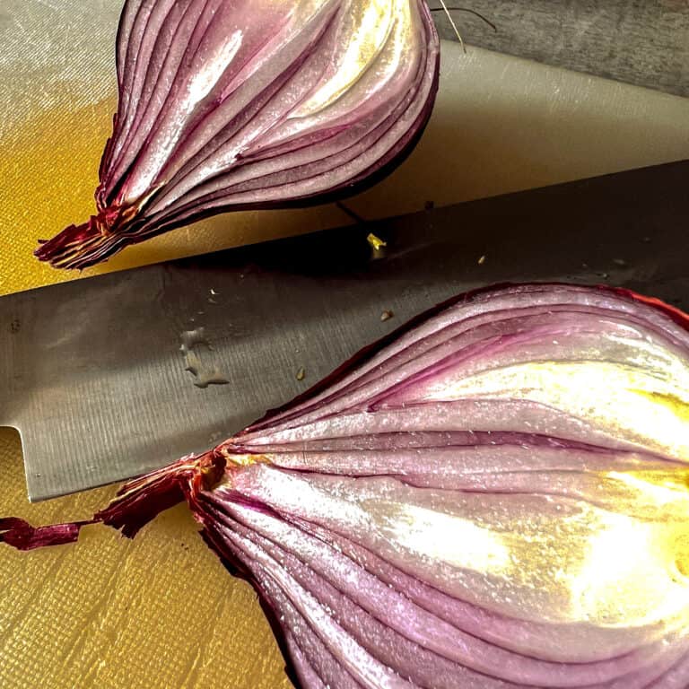 How To Cut Spring Onions The Complete Guide to chopping, slicing and dicing onions
