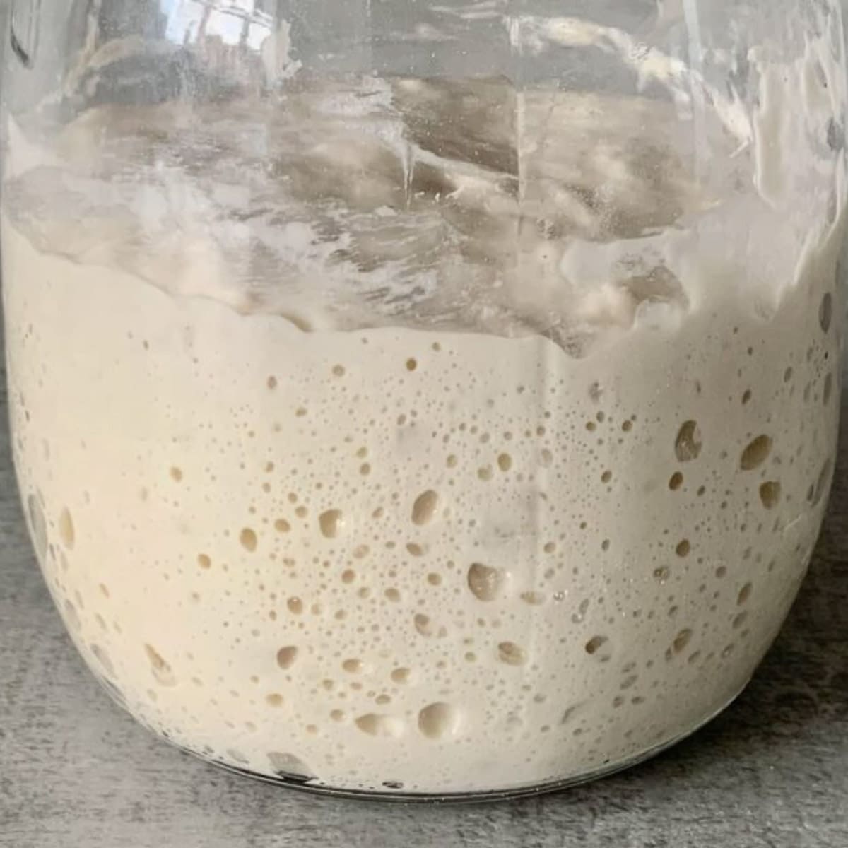 sourdough starter in jar