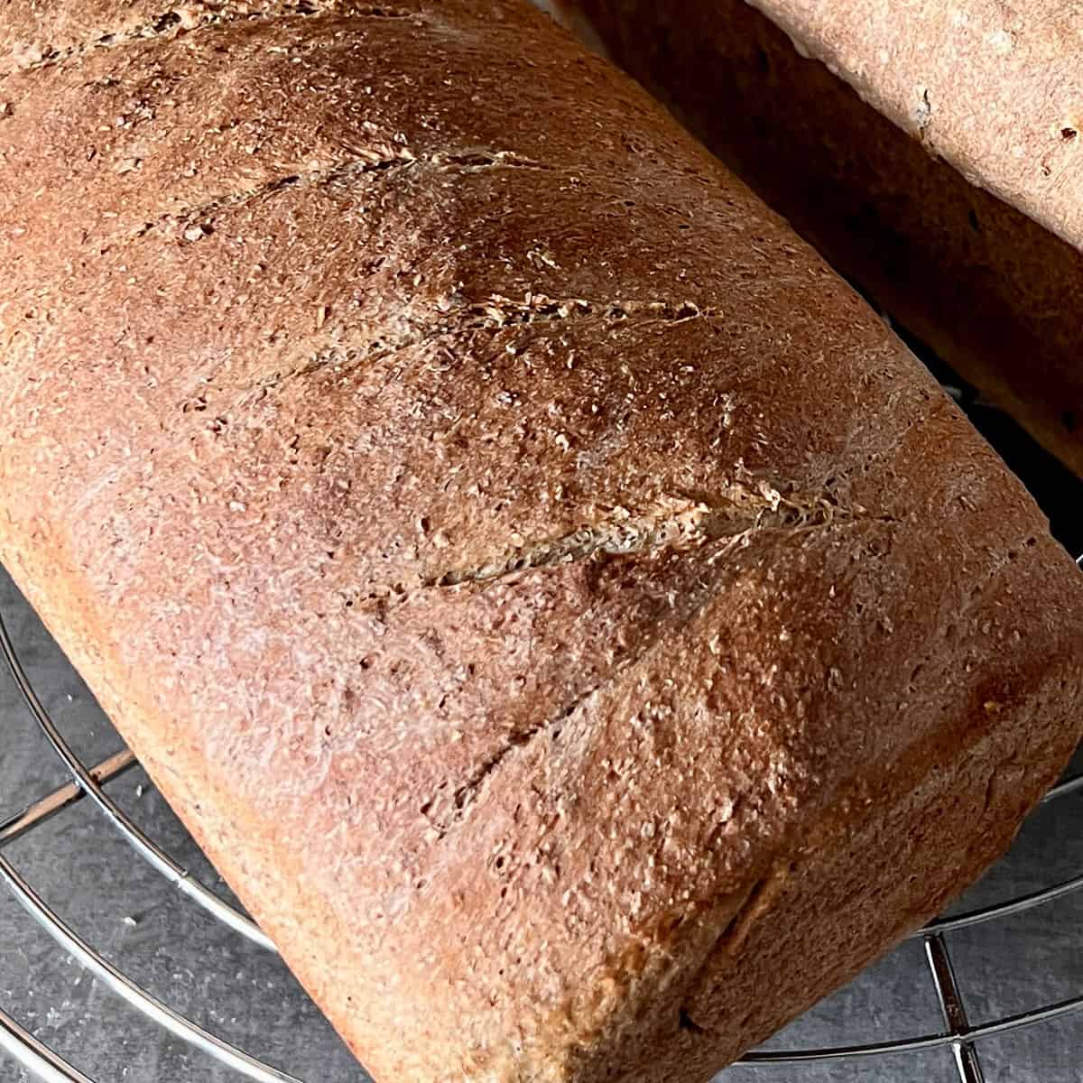 honey and rye bread