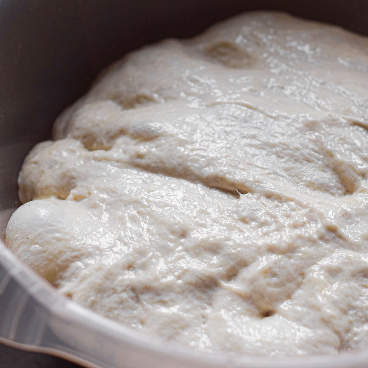 no knead ciabatta bread rolls dough