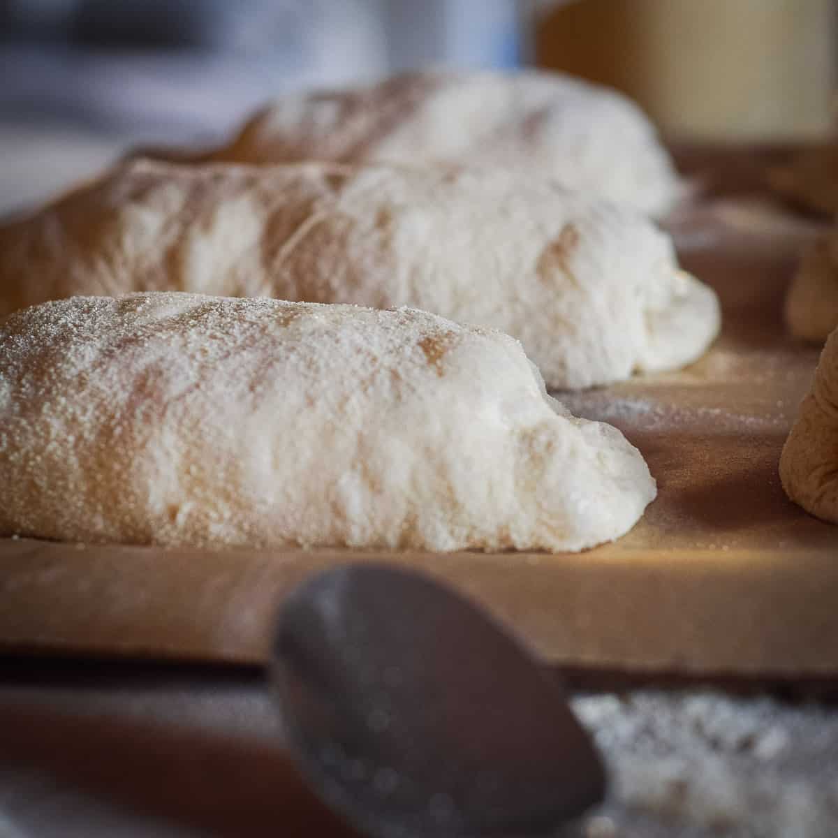 no knead ciabatta bread rolls proving