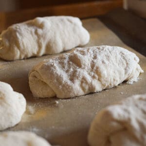 no knead ciabatta bread rolls shaped and proving