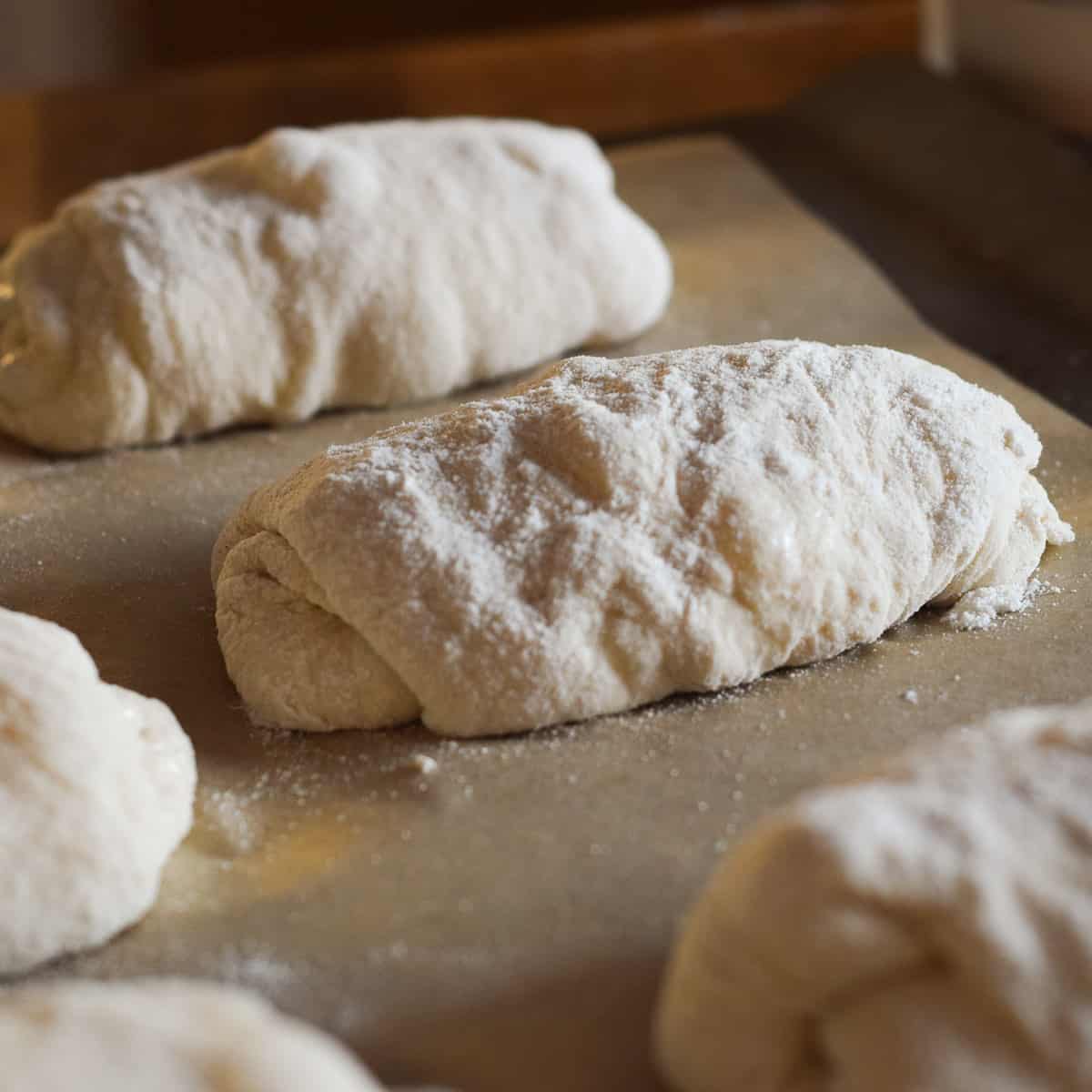 no knead ciabatta bread rolls shaped and proving