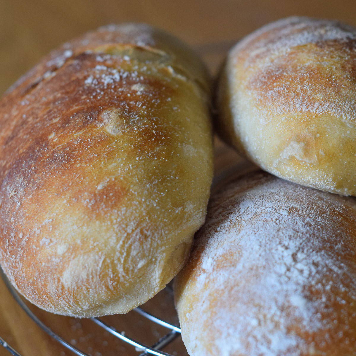 fresh no knead ciabatta bread rolls baked