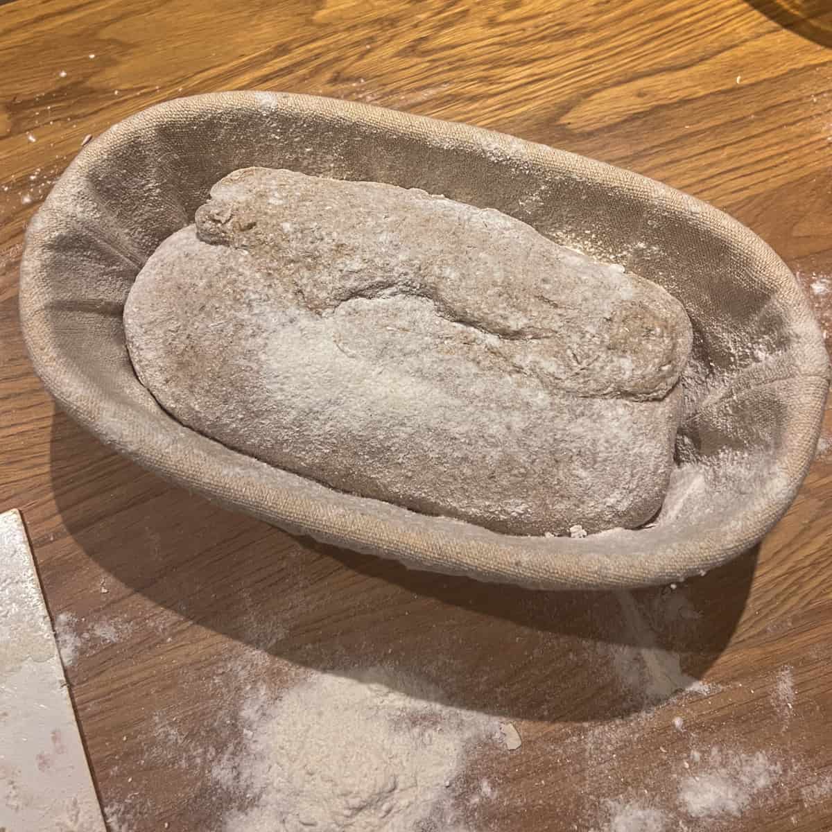 rye sourdough proving