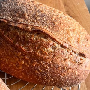 blistering on crust of cranberry sourdough