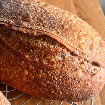 blistering on crust of cranberry sourdough
