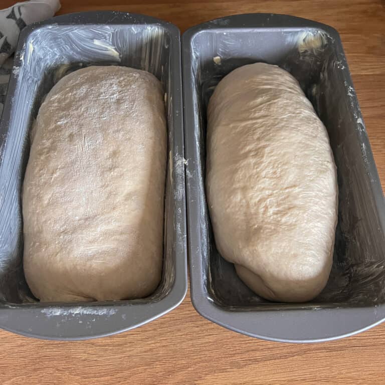 Your comprehensive go to guide for bread making