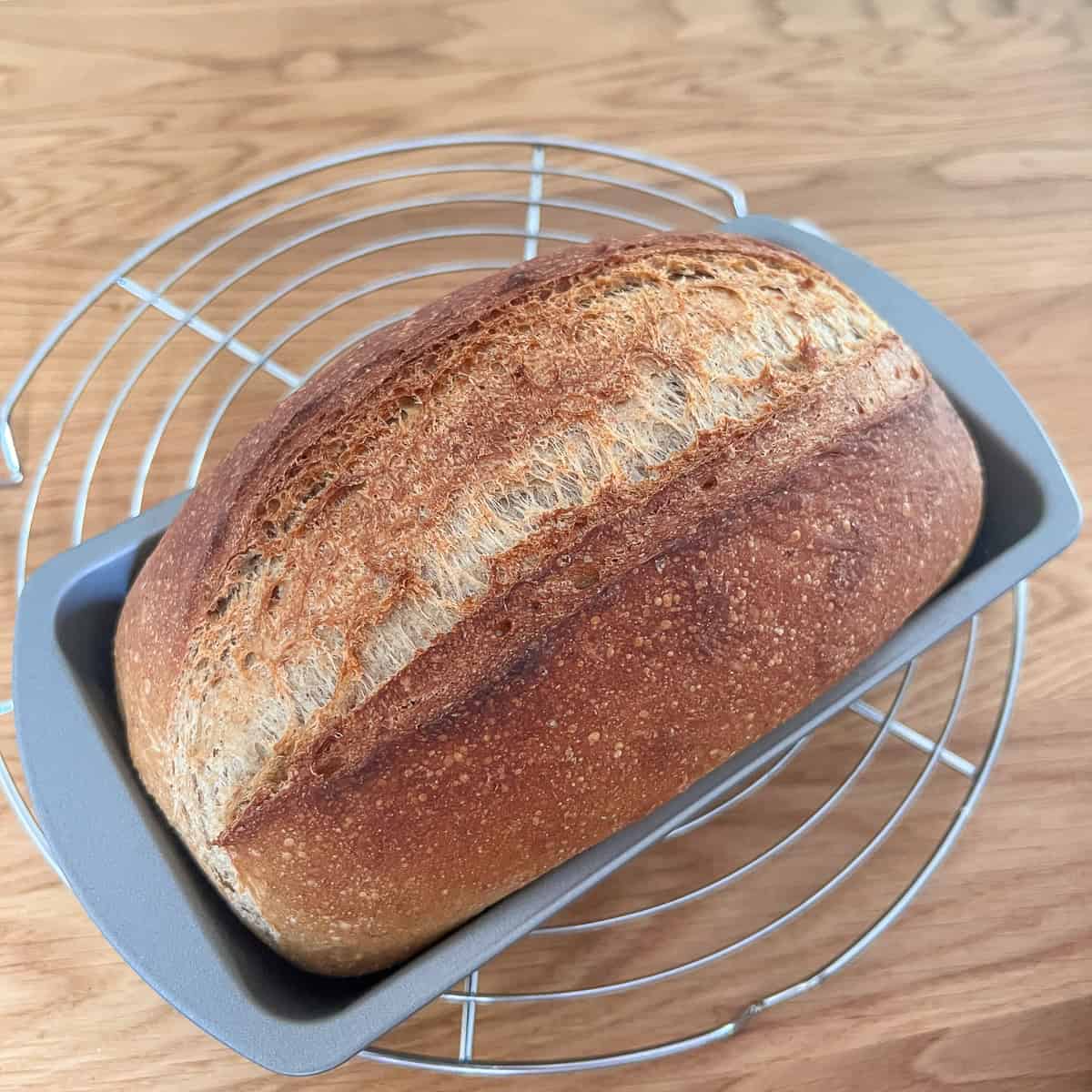 Guinness bread in a bread tin on cooling rack.