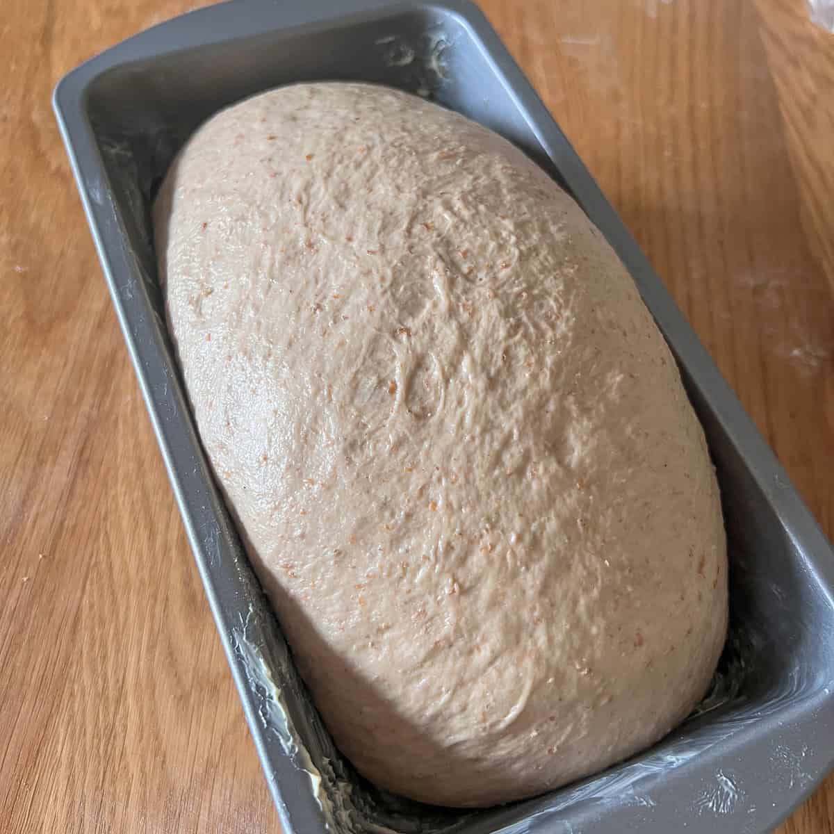 Guinness bread in a tin before the oven.