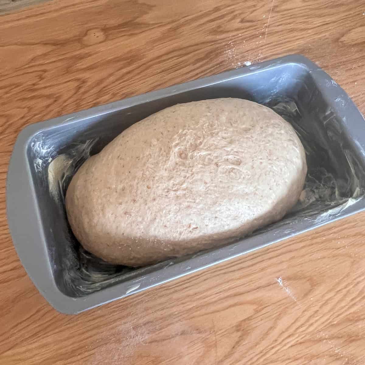 Guinness bread in a tin shaped and ready to prove.