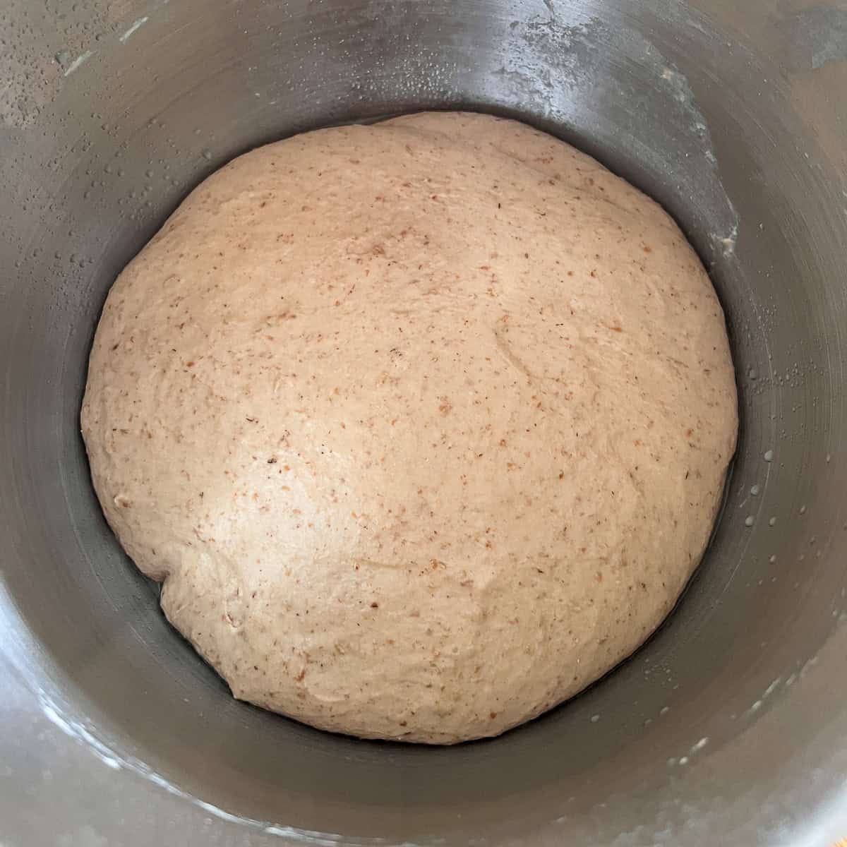 Dough risen and ready to be knocked back for shaping.