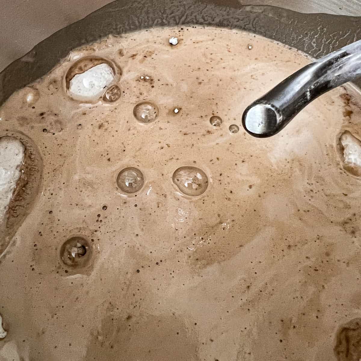 All ingredients for Guinness bread in the mixer ready to be mixed.