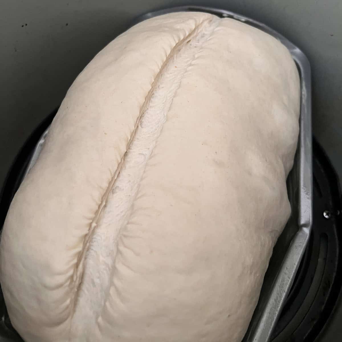 Score of proved dough before cooking.