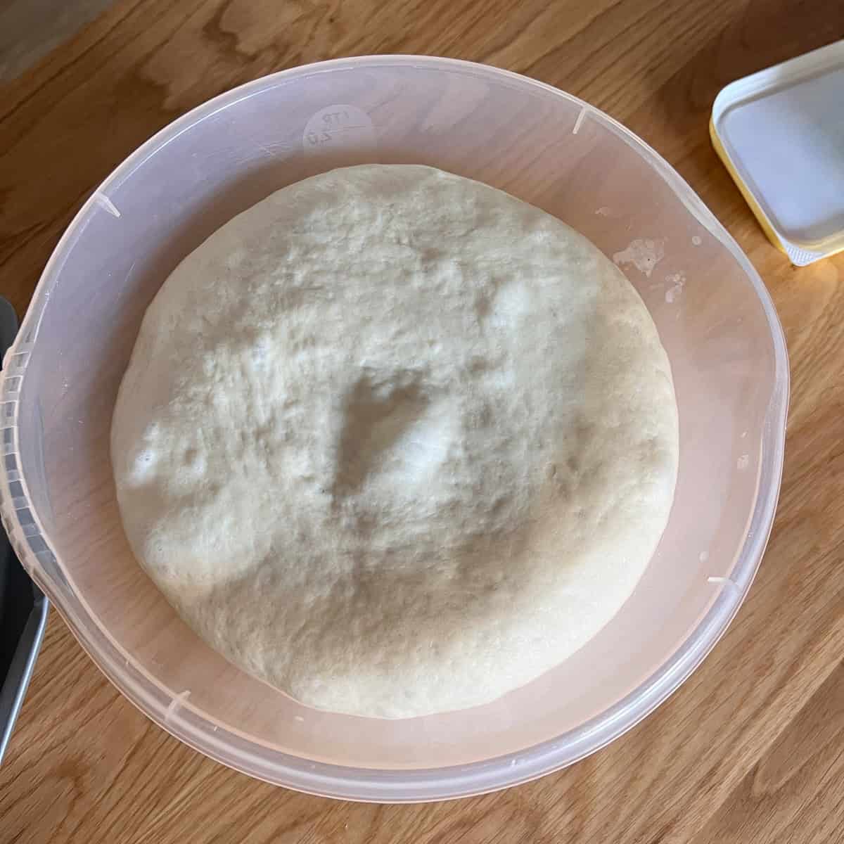 Dough after first rise and ready to shape.