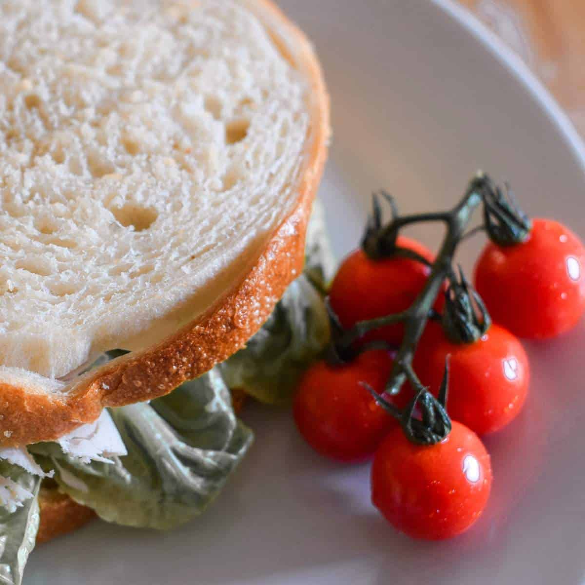 Chicken salad sandwich and tomatoes on the vine.