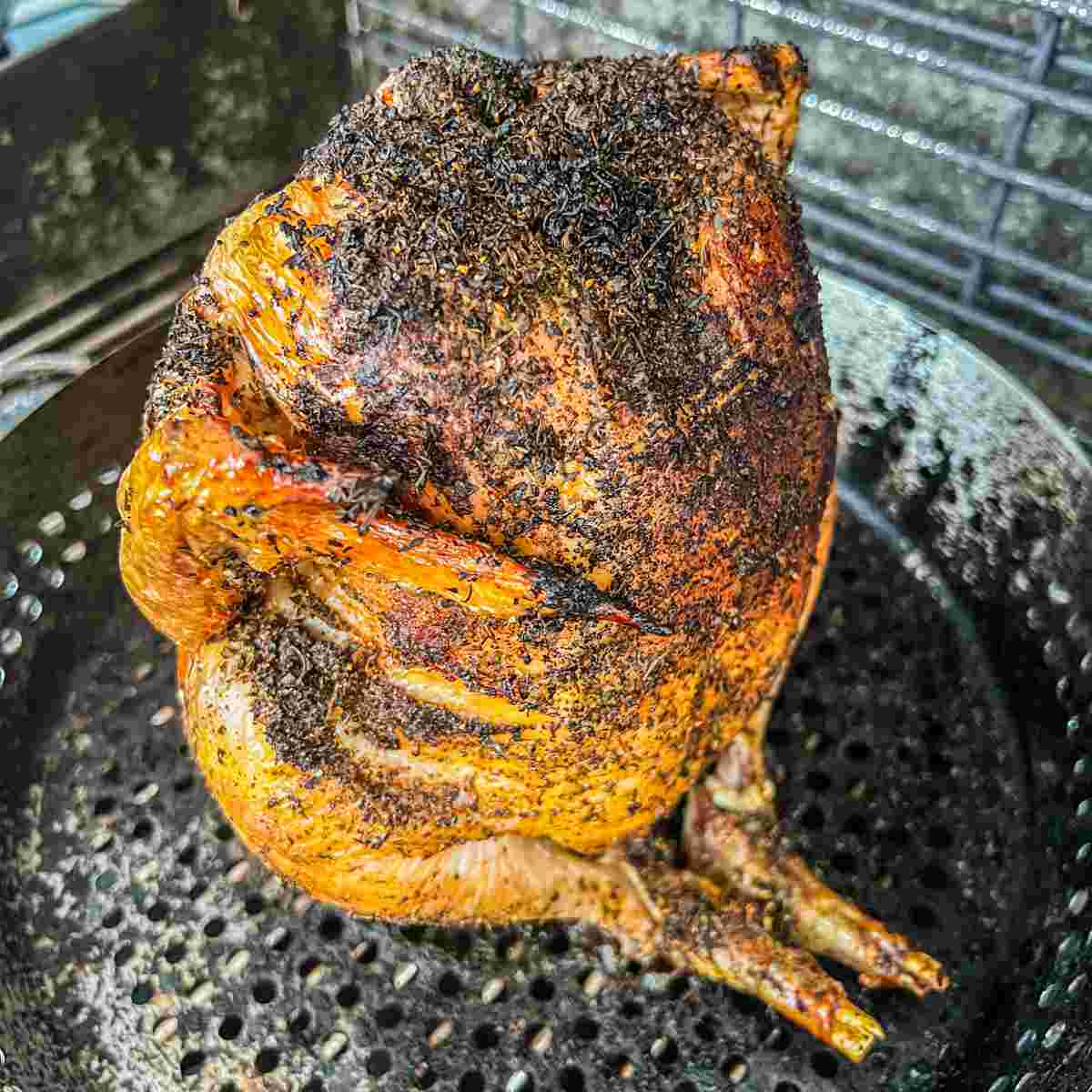 Chicken on a poultry roaster cooked on a BBQ.