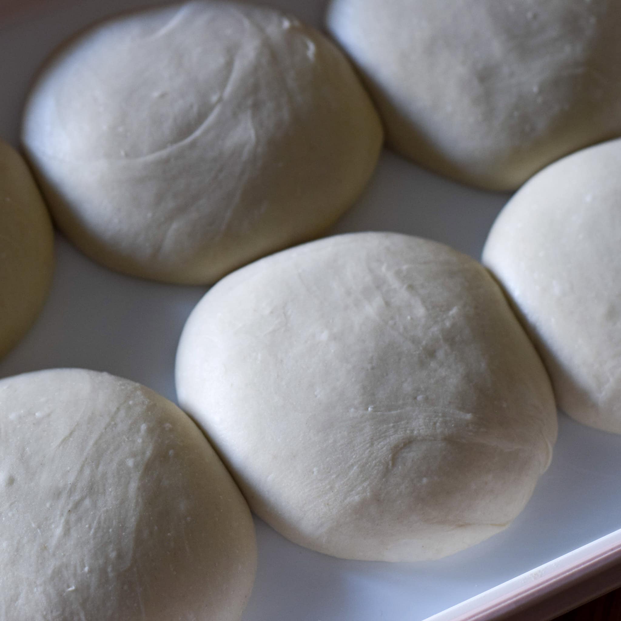 Pizza dough proving in a box.